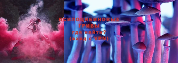 spice Приозерск