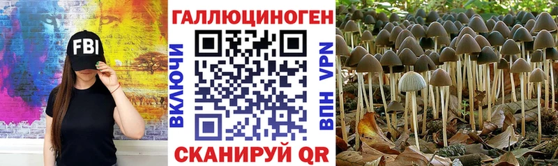 Псилоцибиновые грибы Psilocybine cubensis  mega   Спасск 